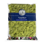 1,400 cubic ft PRESERVED CHARTREUSE REINDEER MOSS