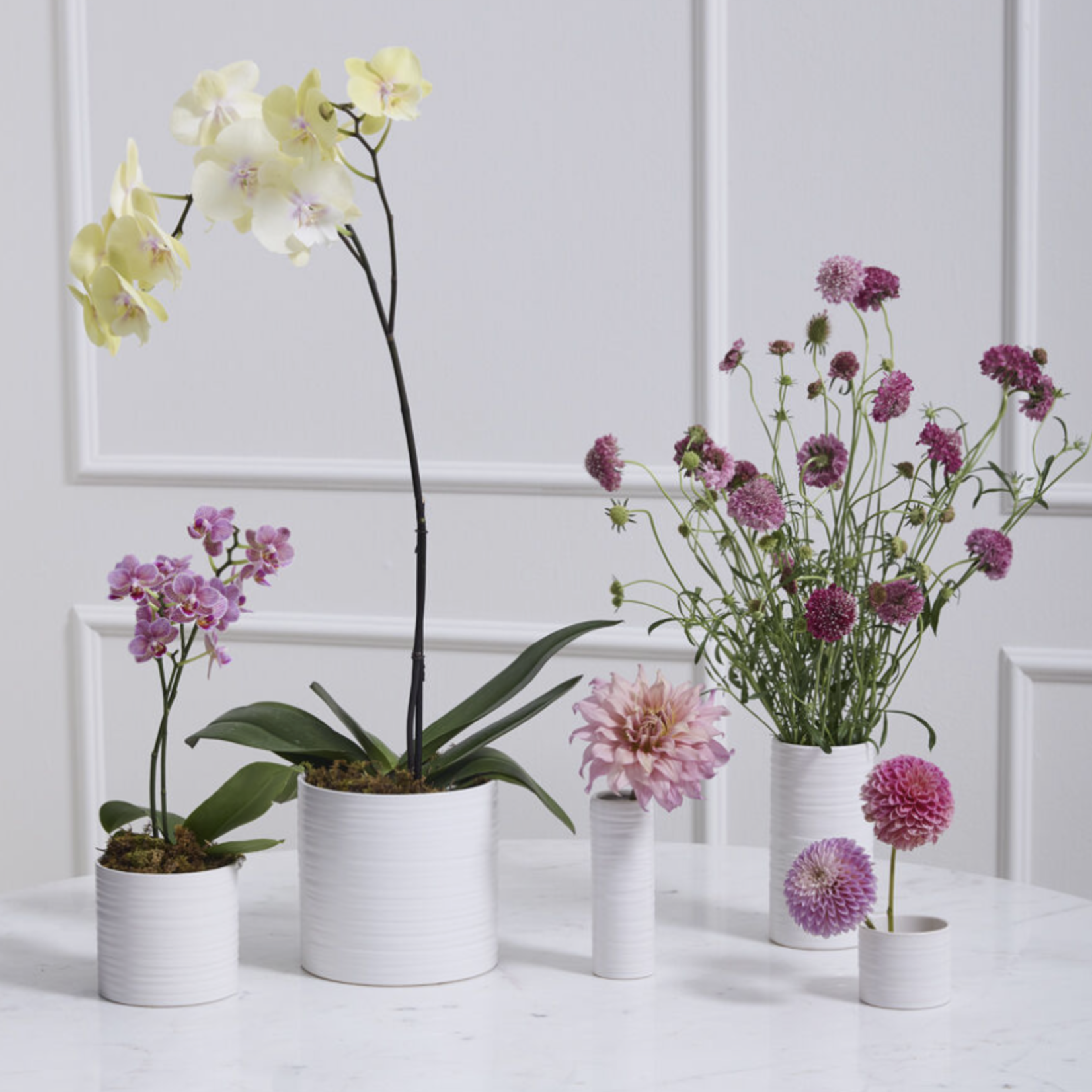 EVEREST CERAMIC COLLECTION