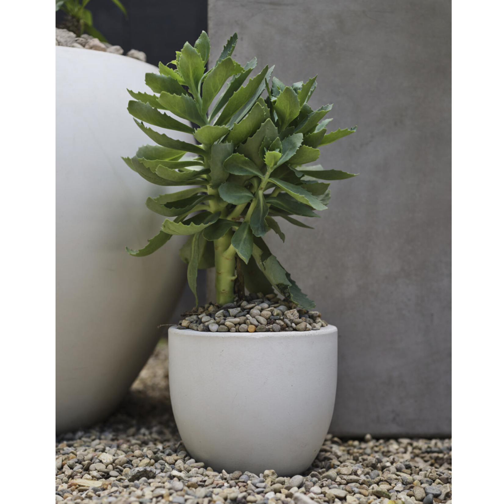 NEWPORT CONCRETE POT/VASE