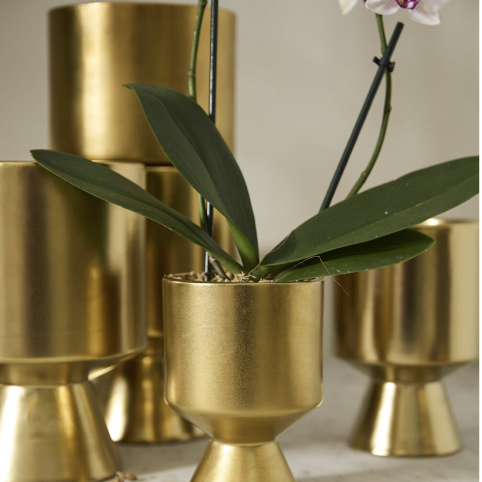 GOLD CERAMIC DE VIL POT