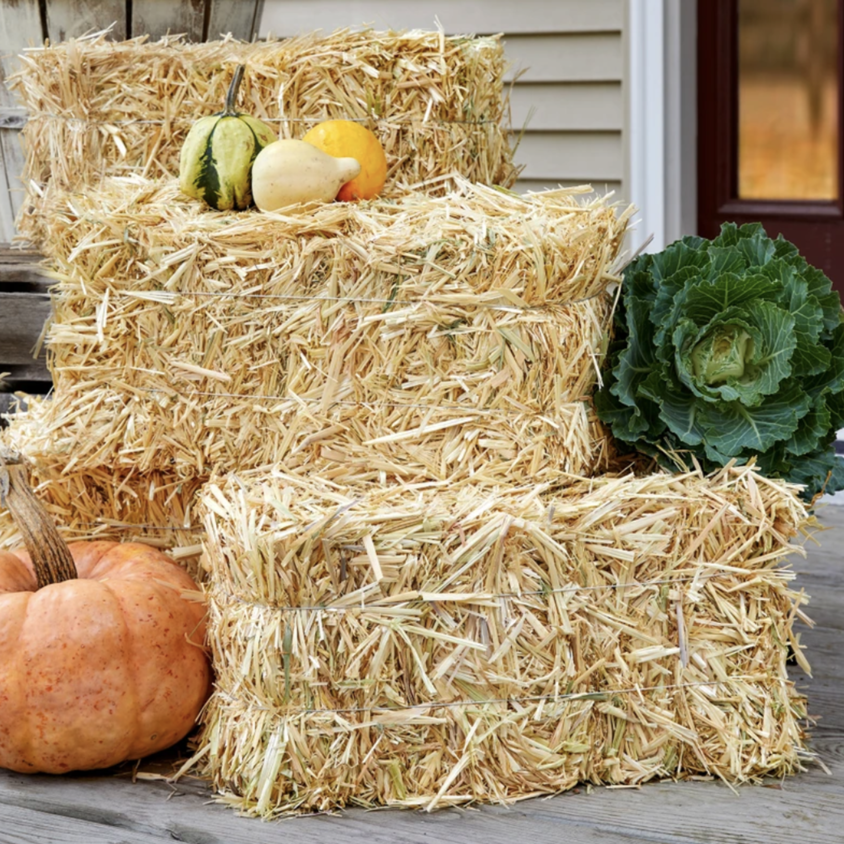 STRAW BALE  8 X 9 X 20’’