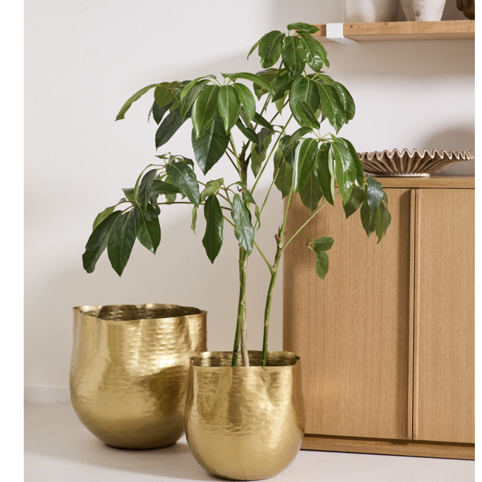 NOVELLA METAL POT