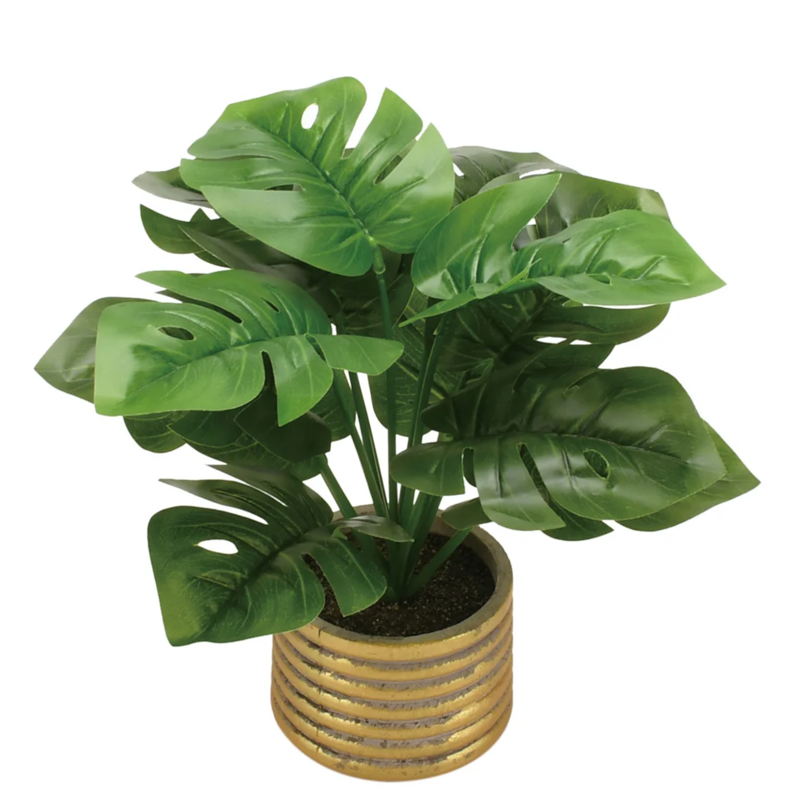 POTTED PLANT ND