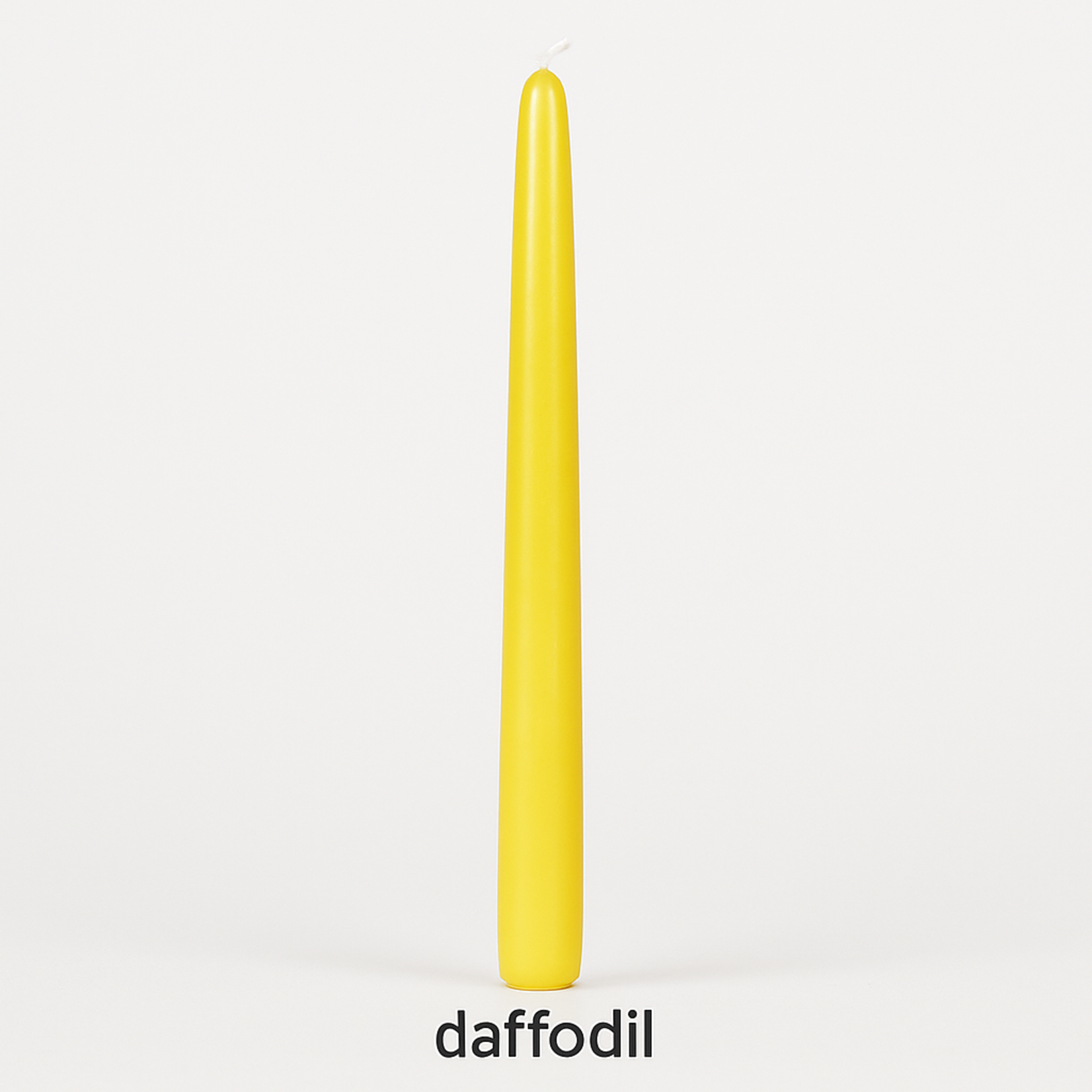 Taper Candles (Cello Wrapped) 12 INCH  DAFFODIL