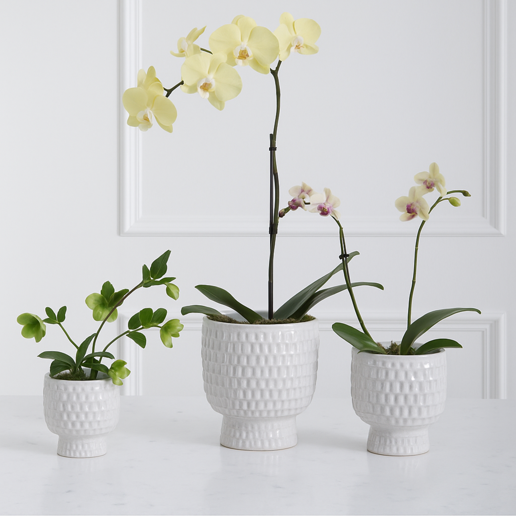 OFF-WHITE CERAMIC ADRIEN PEDESTAL POT
