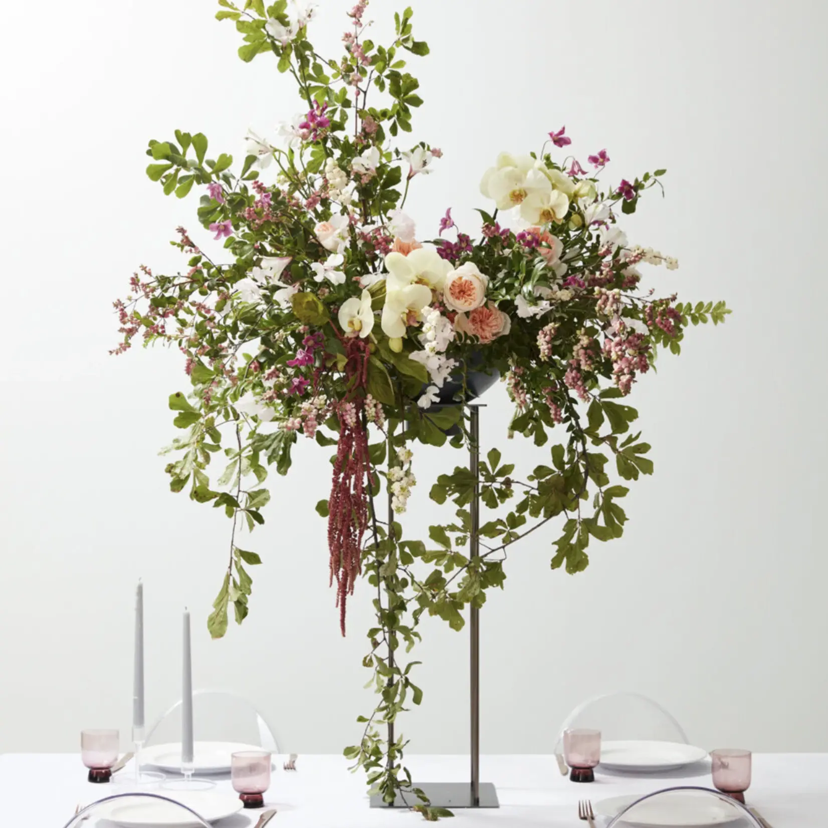 HARLOW COLLECTION