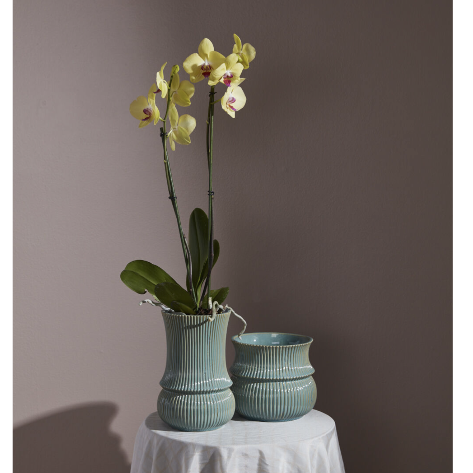 CERAMIC VERDANT VASE POT