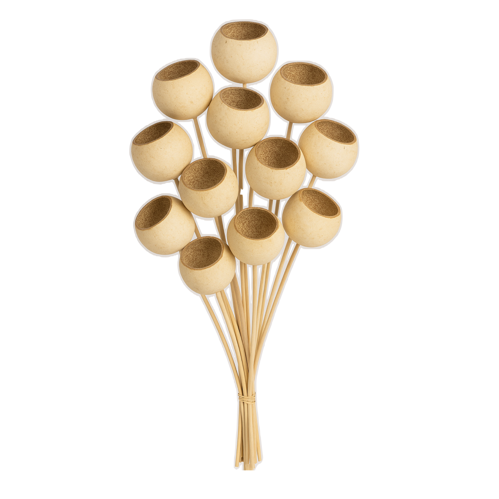 10 PCS BAGGED BELL CUP NATURAL