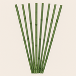 32'' BAMBOO PENCIL BASIL 10 PCS
