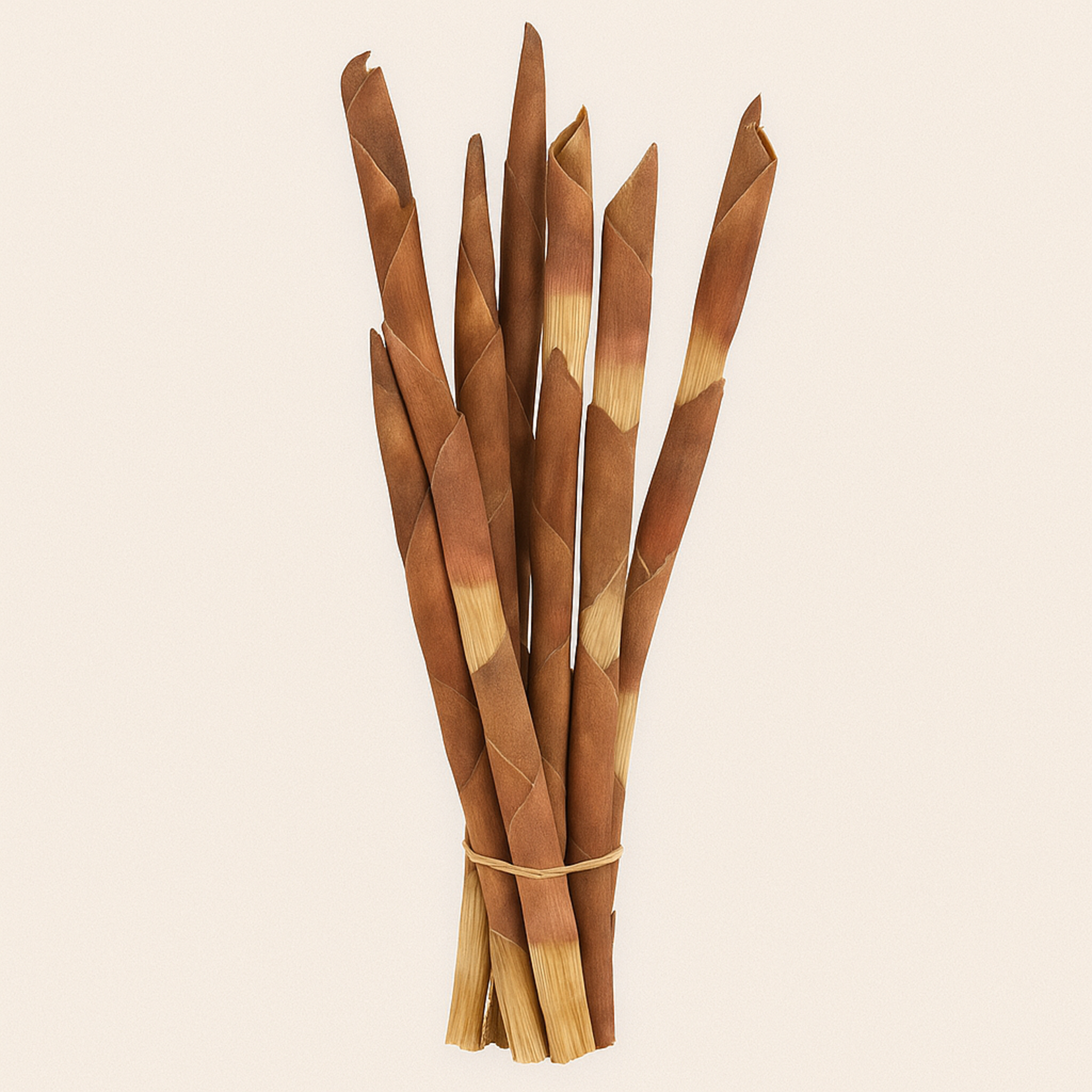 10 STEMS ASSEGAI NATURAL SPEARS