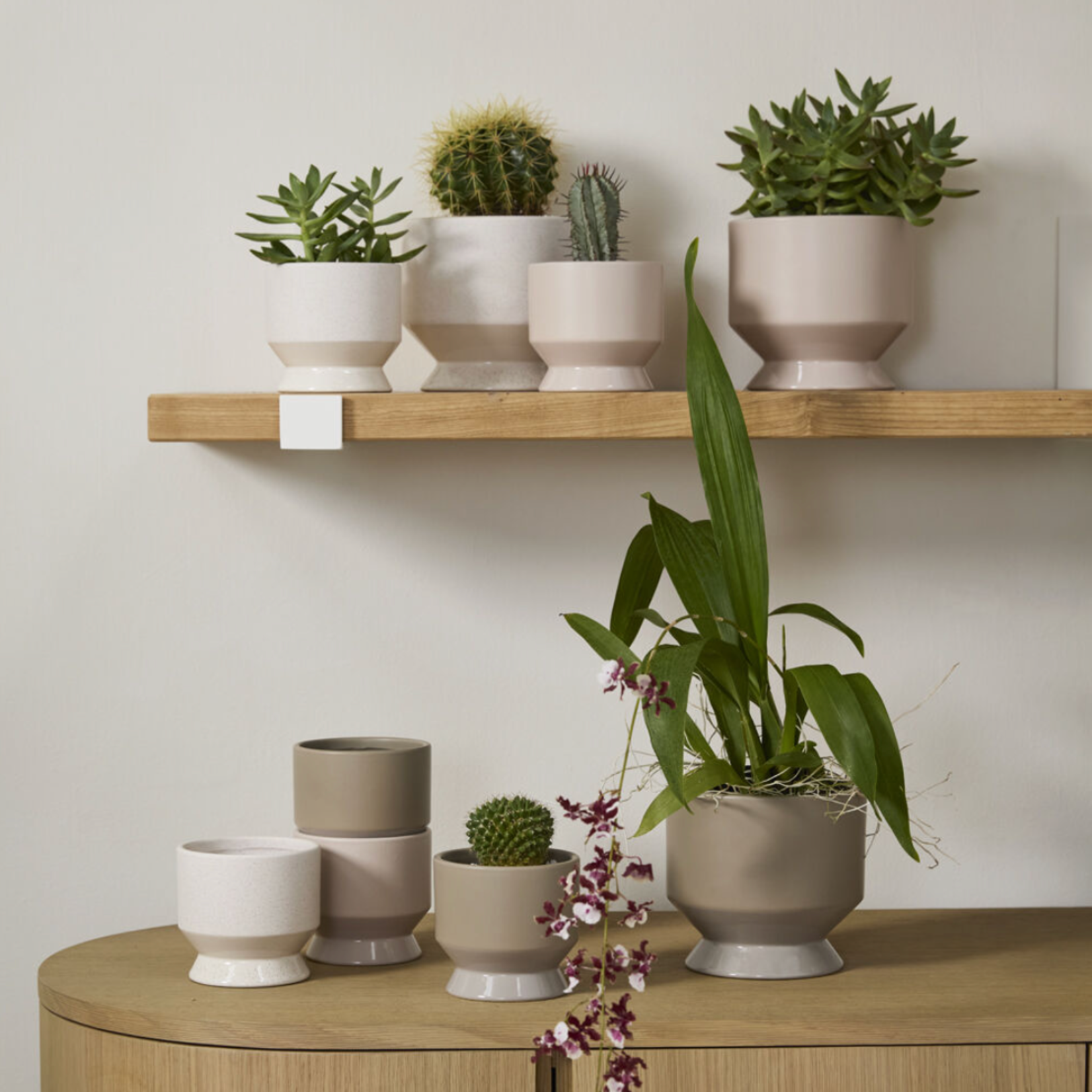 NEUTRAL PASADENA POT