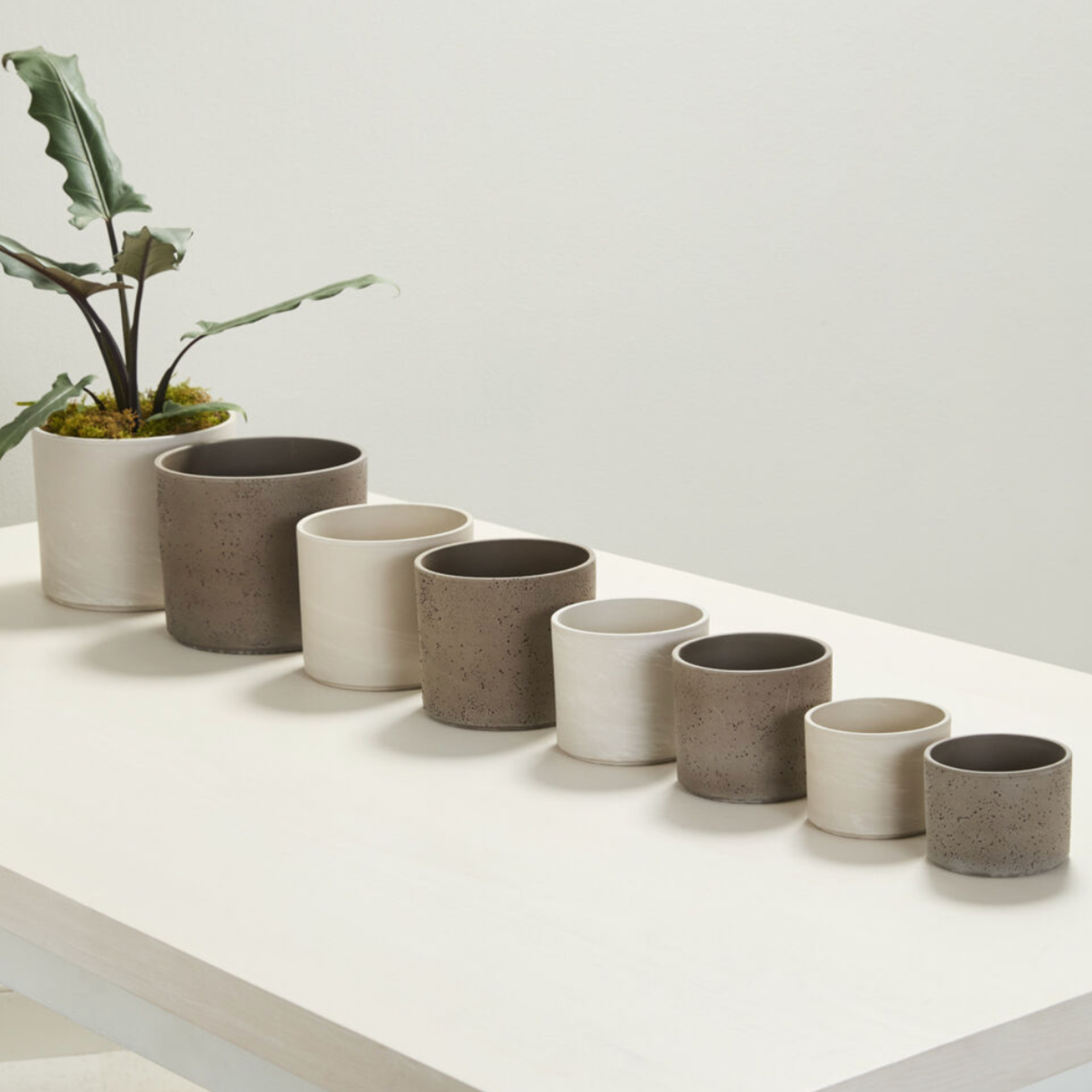 CERAMIC FULTON POT