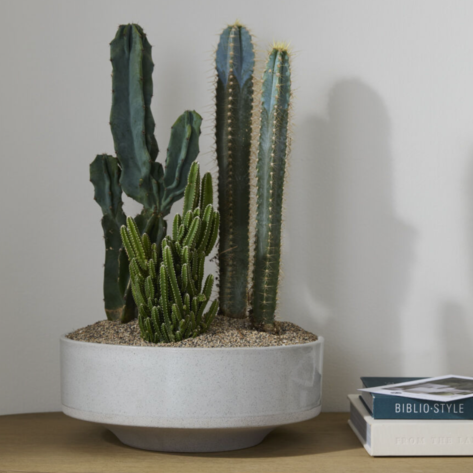 6"h x 14.25" OFF-WHITE CERAMIC INVENTOR LOW BOWL