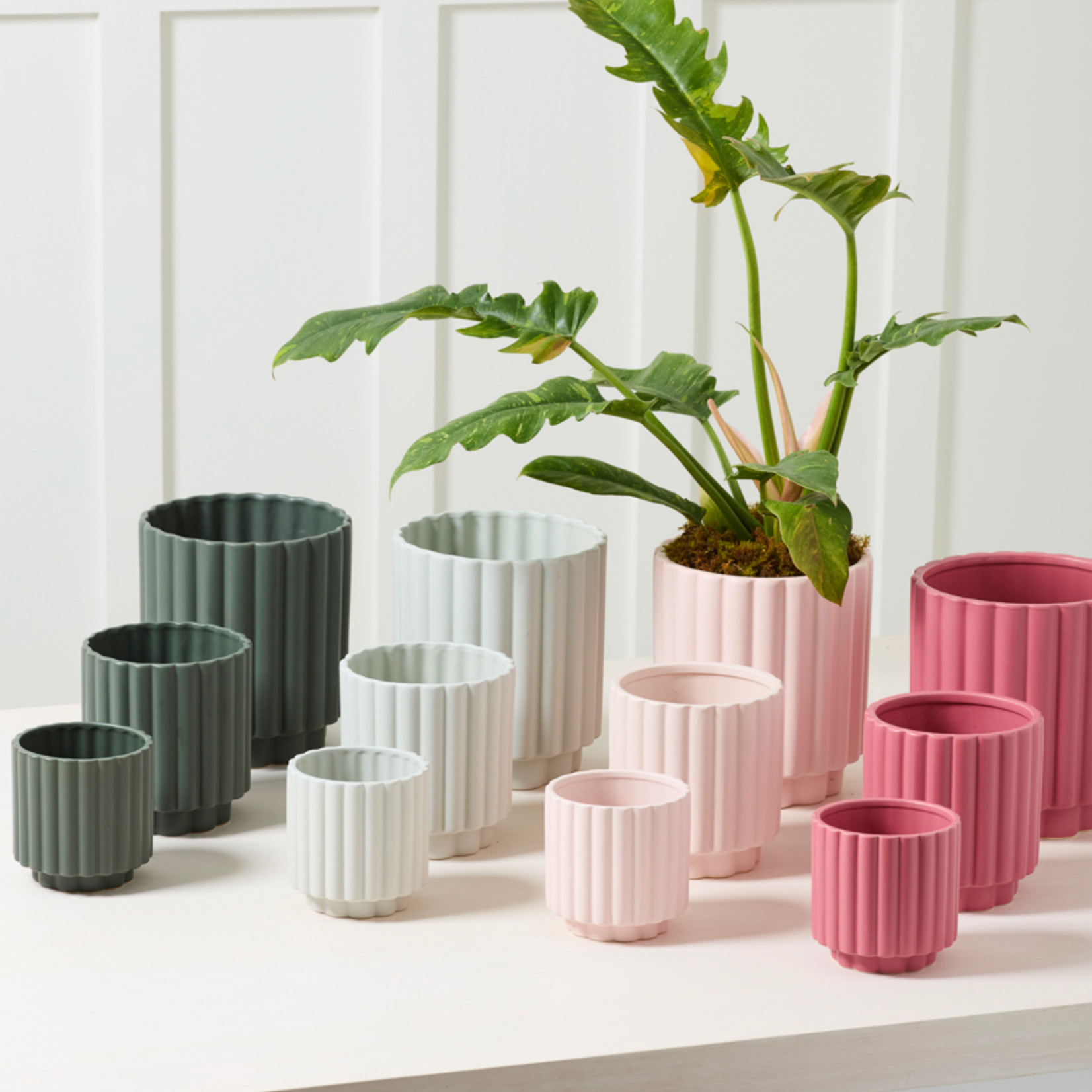CARMEN CERAMIC COLLECTION