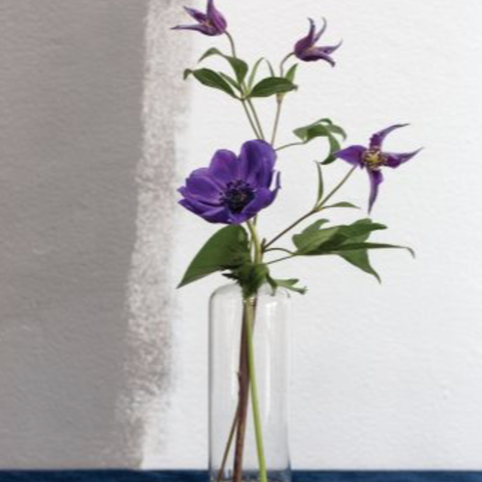 HIGHBALL GLASS BUDVASE