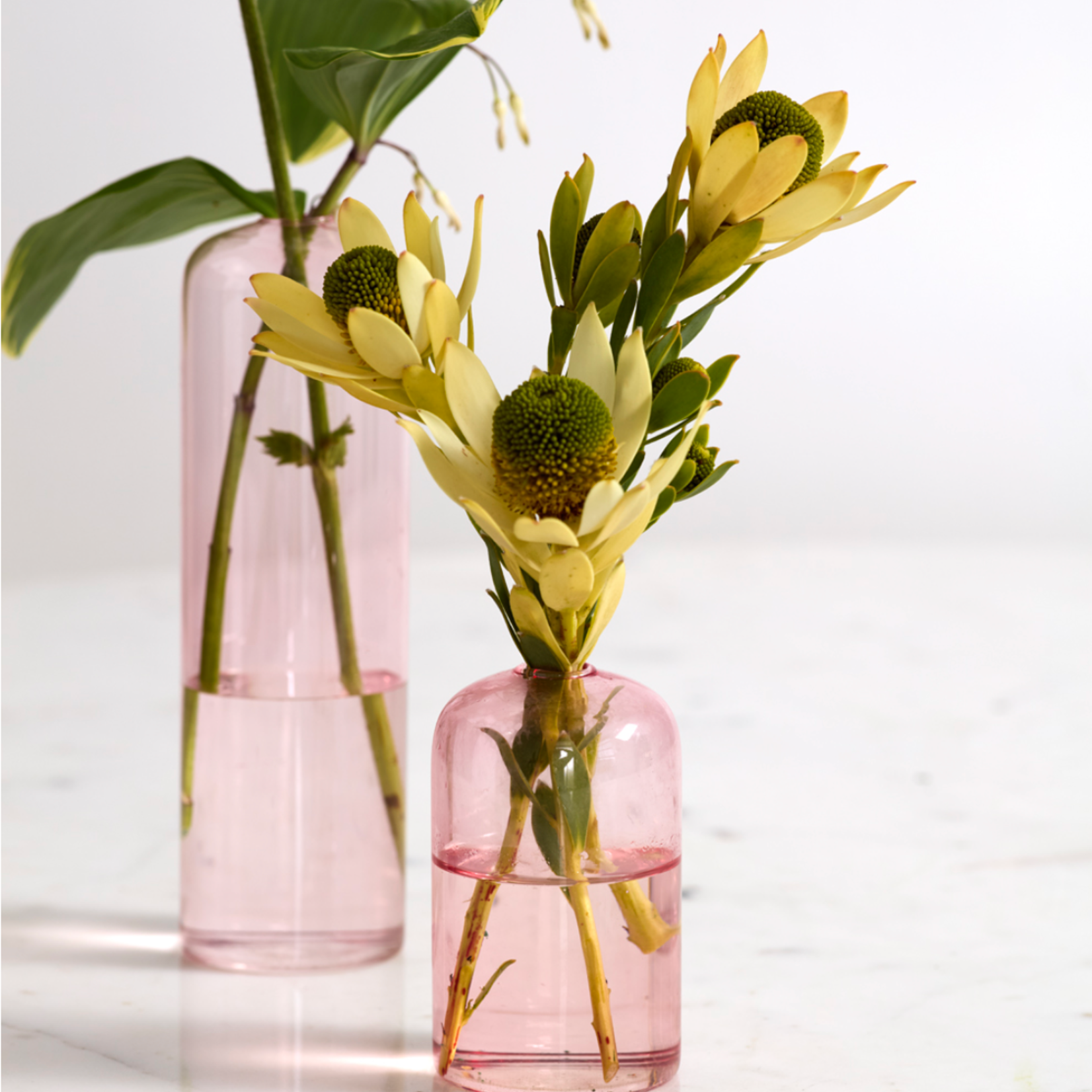 HIGHBALL GLASS BUDVASE