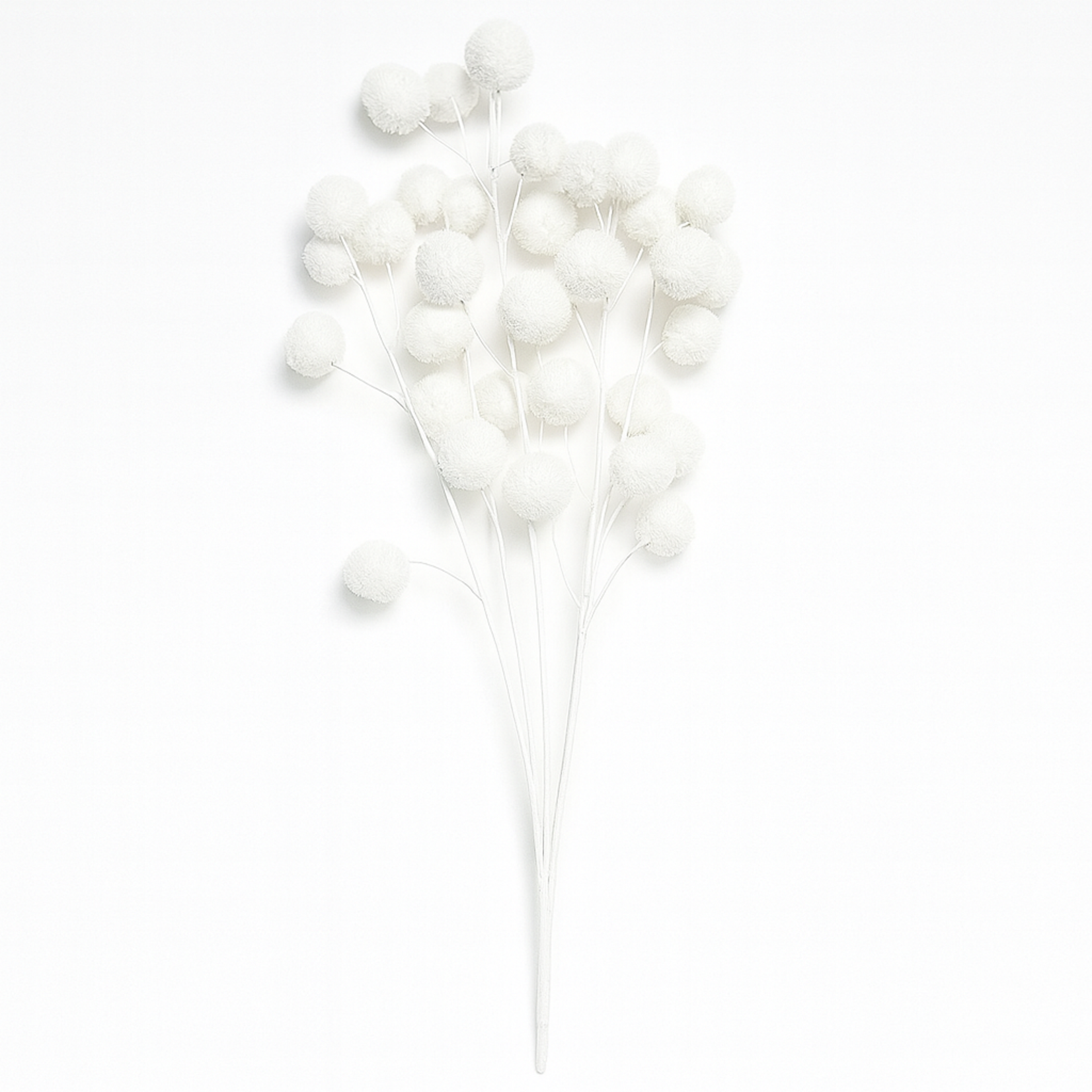 WHITE POM POM BUSH 6 STEMS ND