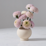 4.25”H X 4.25” OFF-WHITE CERAMIC STOCKTON BUDVASE