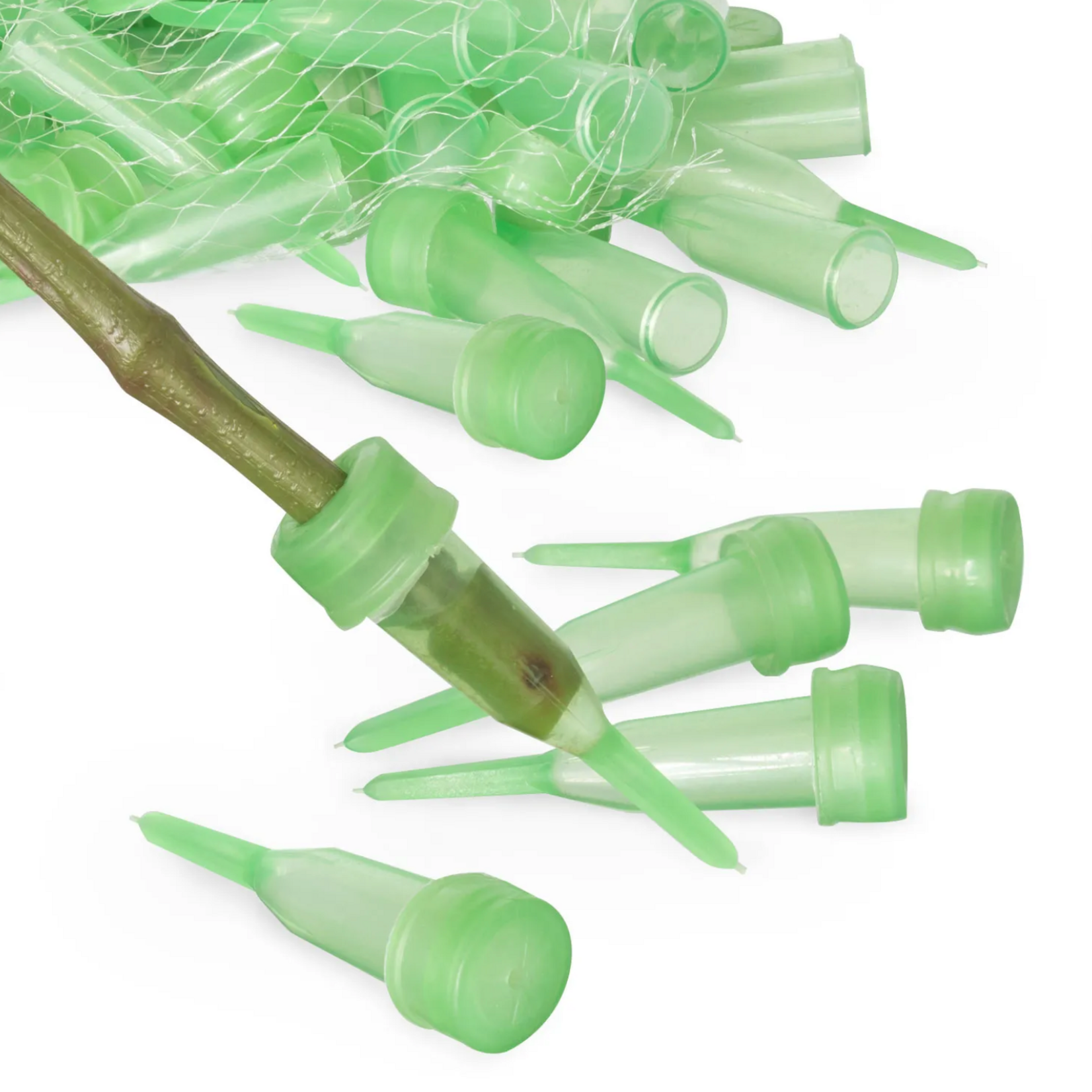 2.5" GREEN SMALL POINTED WATER TUBE PICS (1,000 PICS PER CASE)