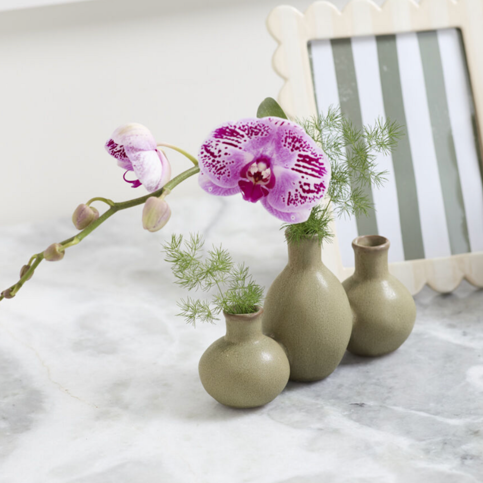 4.5”H X 2.5” X 7.5”L GREEN CERAMIC THYME BUDVASE