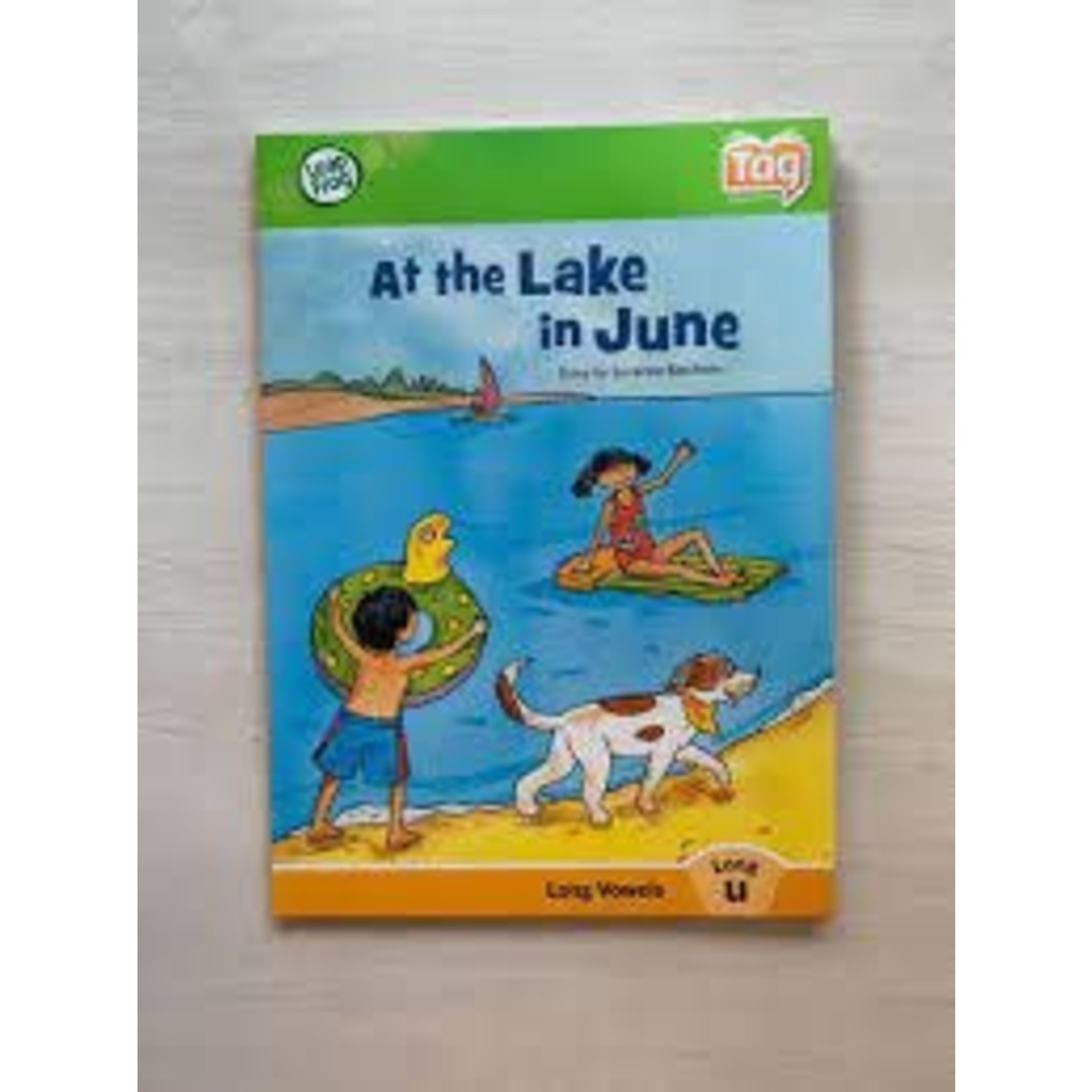 Tag Reading System - At the Lake in June