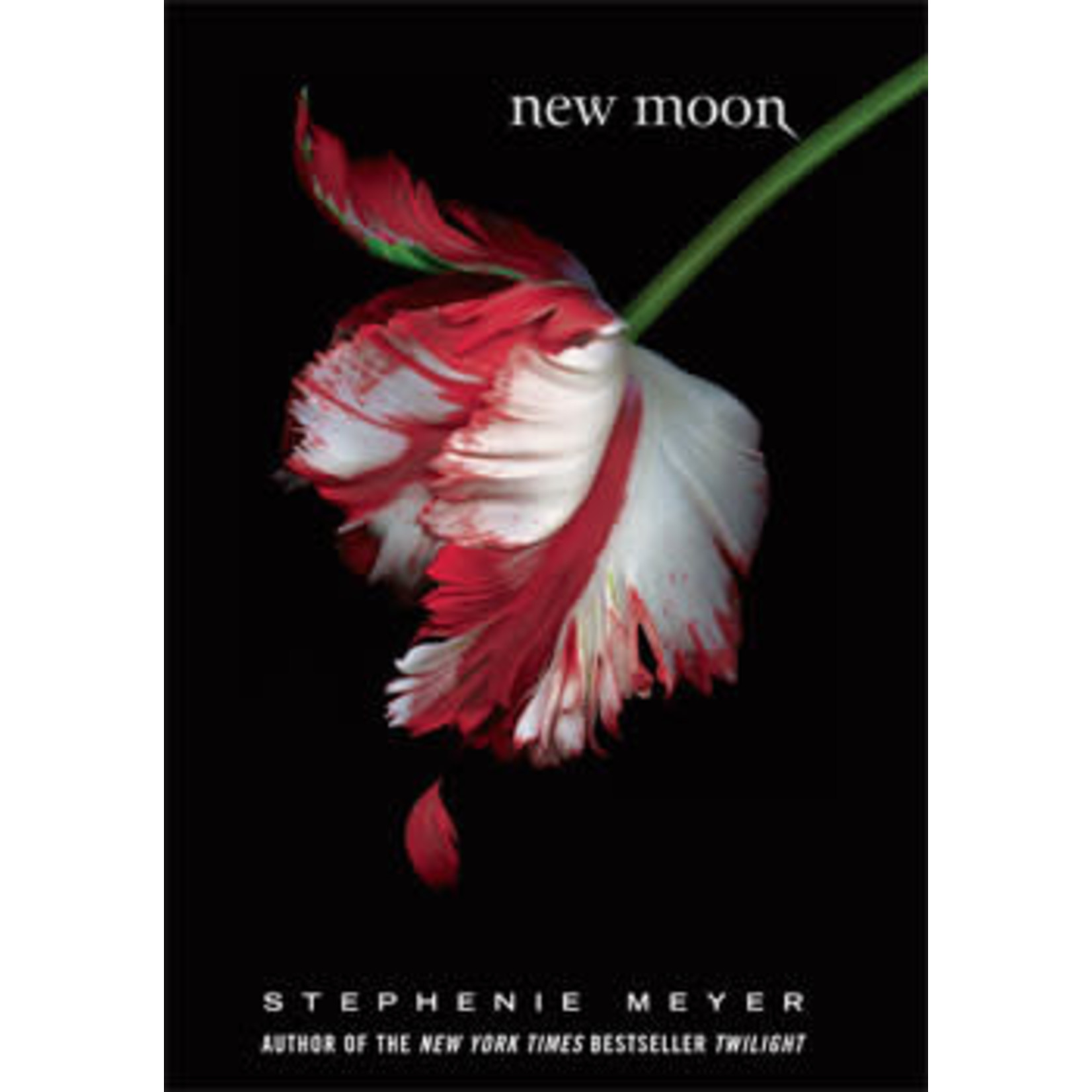 Stephanie Meyer Twilight Saga  Book 2    New Moon