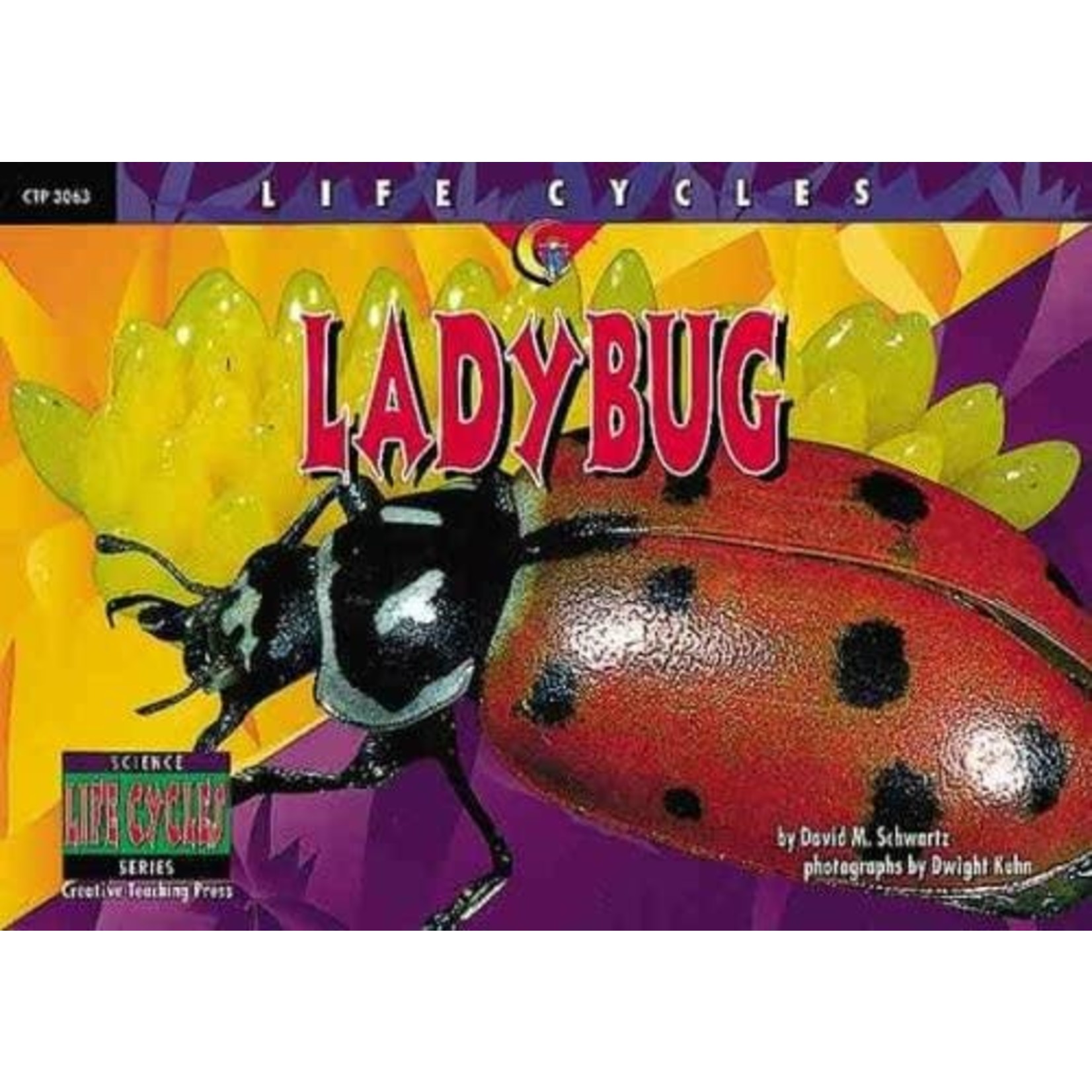 David M. Schwartz Life Cycles - Lady Bug