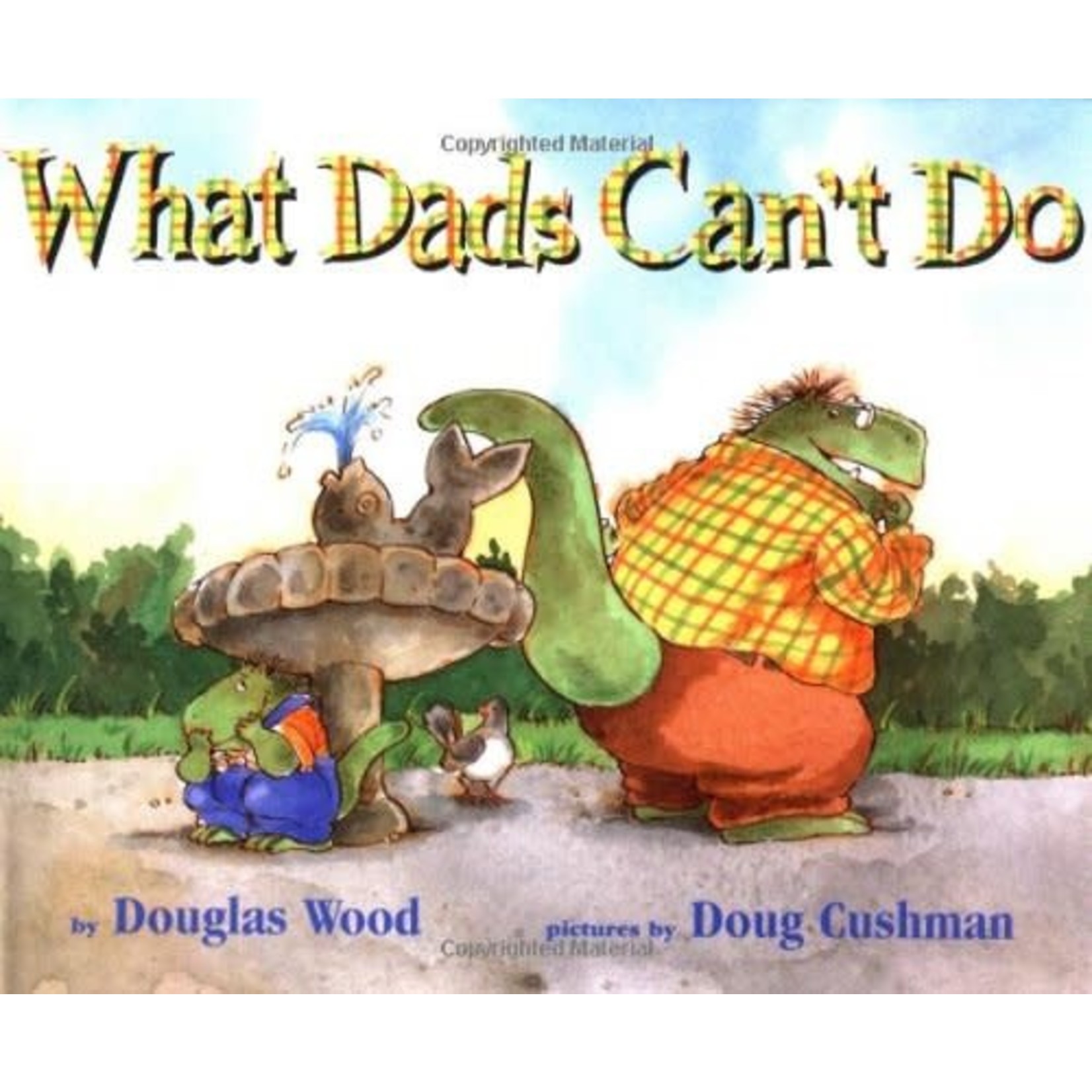 Douglas Wood What Dads Can't Do