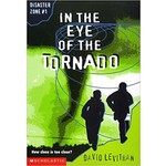 David Levithan Disaster Zone #1  In The Eye of The Tornado