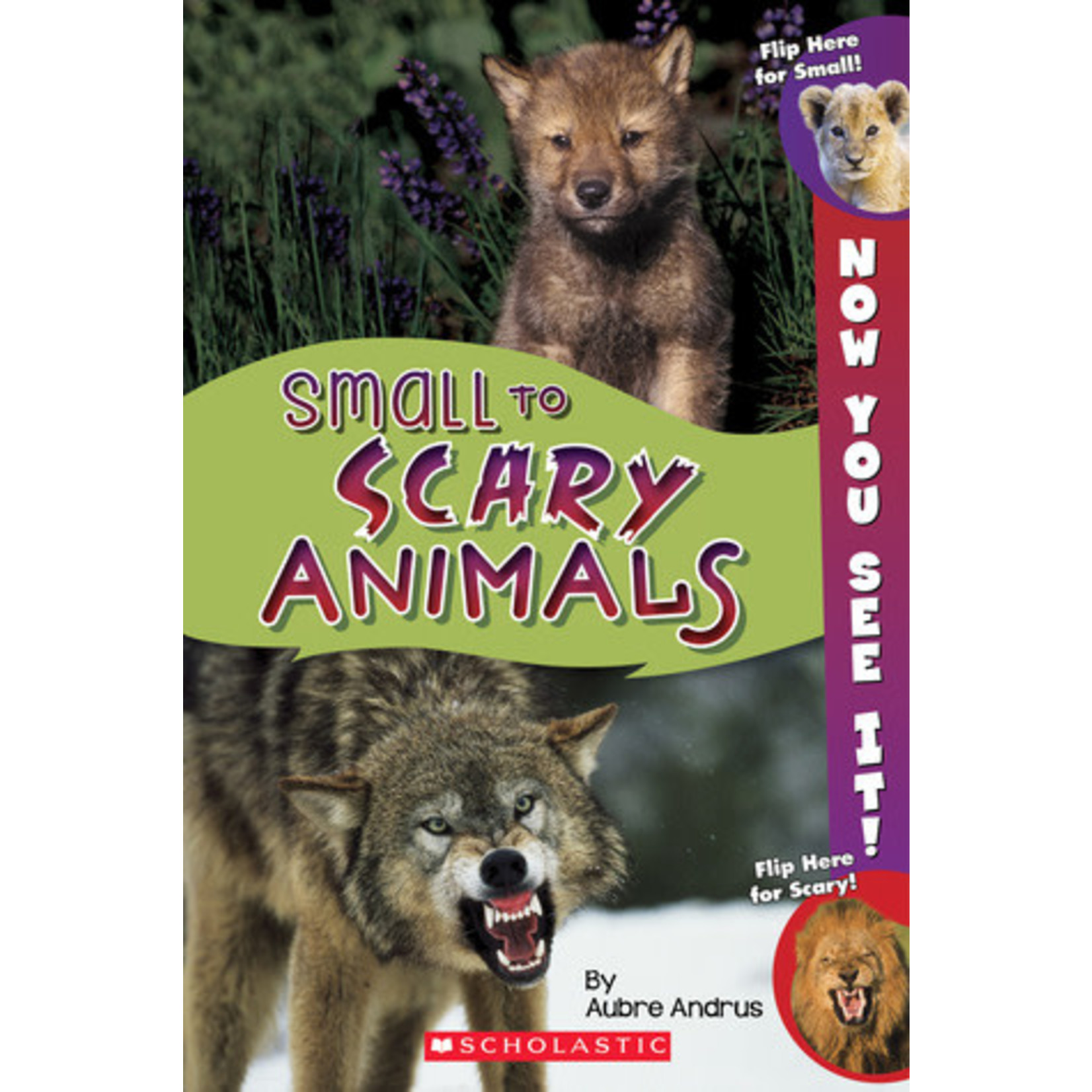 Small to Scary Animals - Now You See It