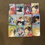 Animal Ark Set (12 books included)