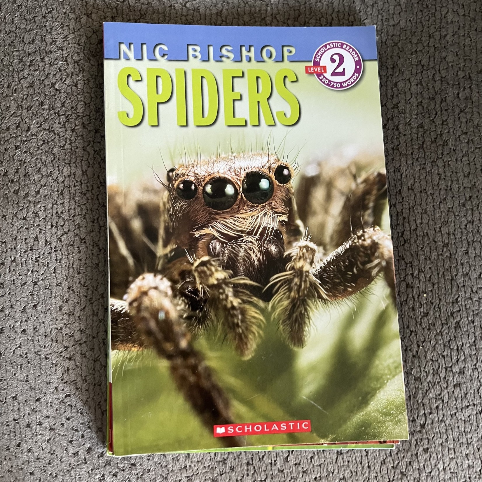 Spiders (Scholastic Reader, Level 2)