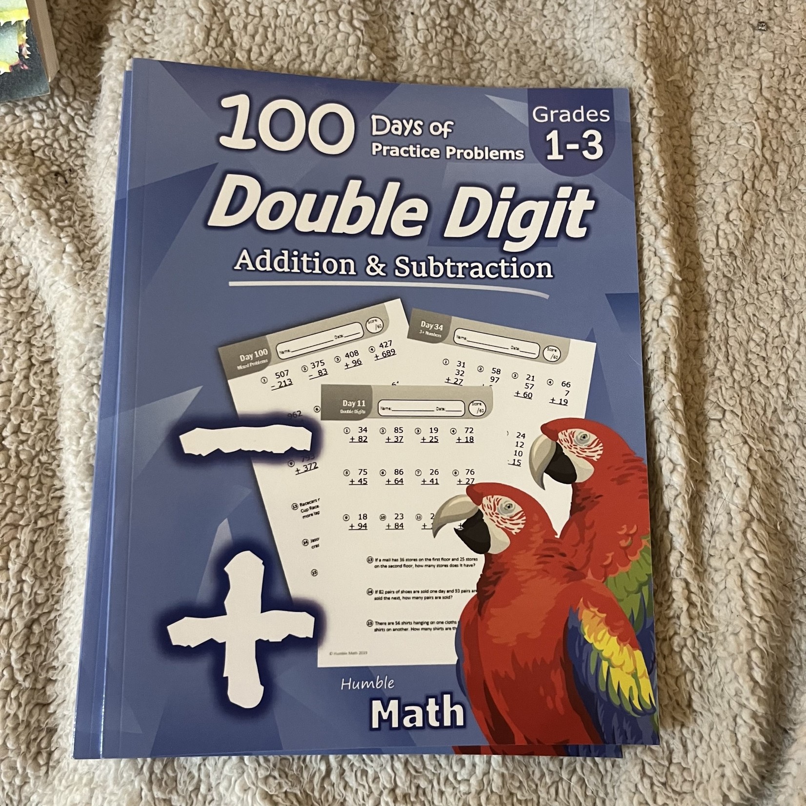100 Days of Practice Problems - Double Digit, Addition & Subtraction, Grades 1-3