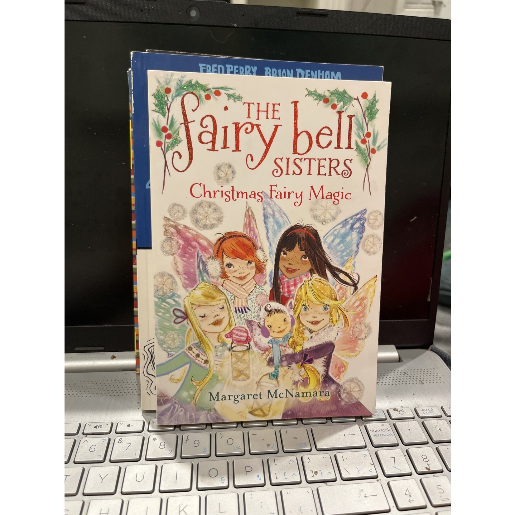The Fairybell Sisters - Christmas Fairy Magic, Book #6