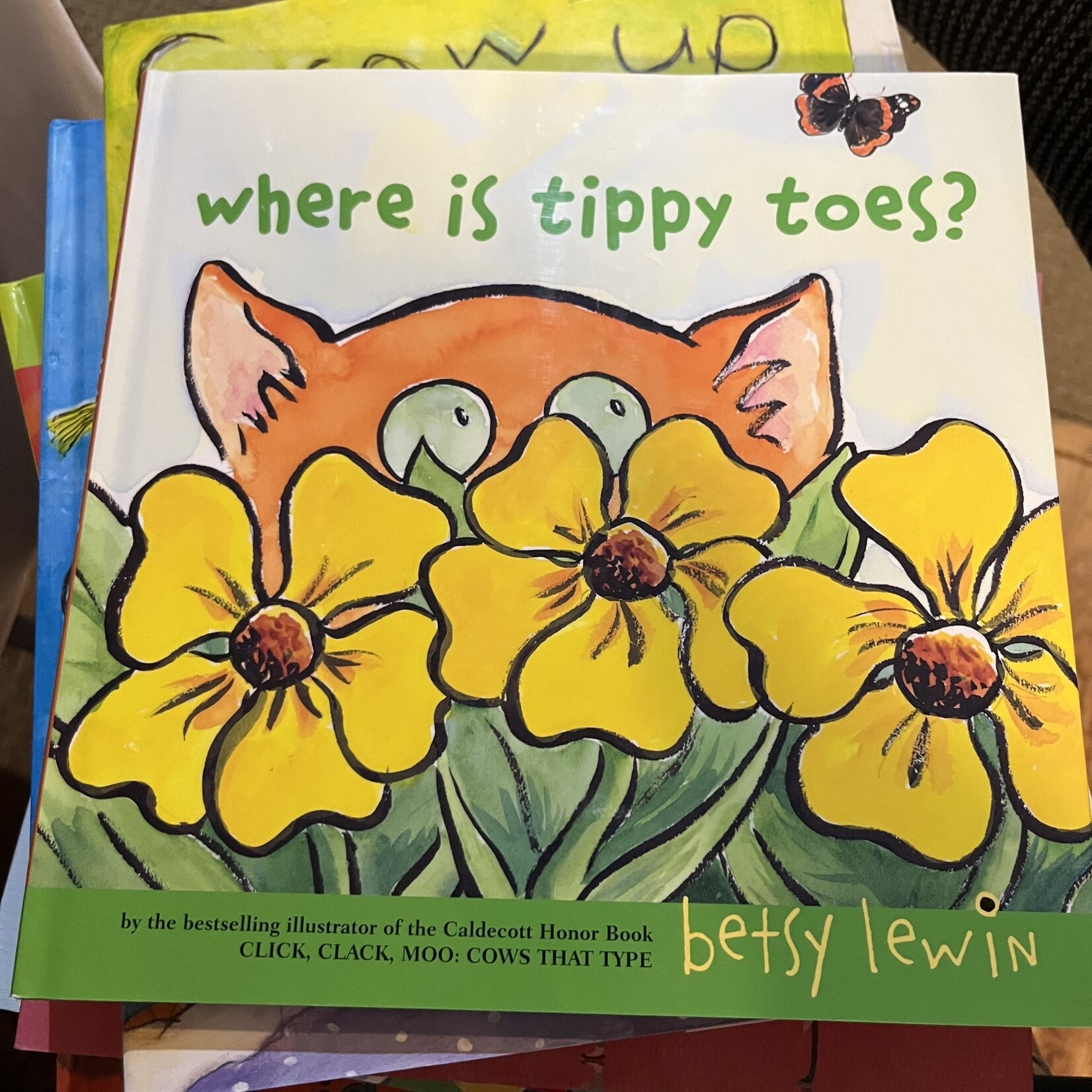 Where is Tippy Toes?