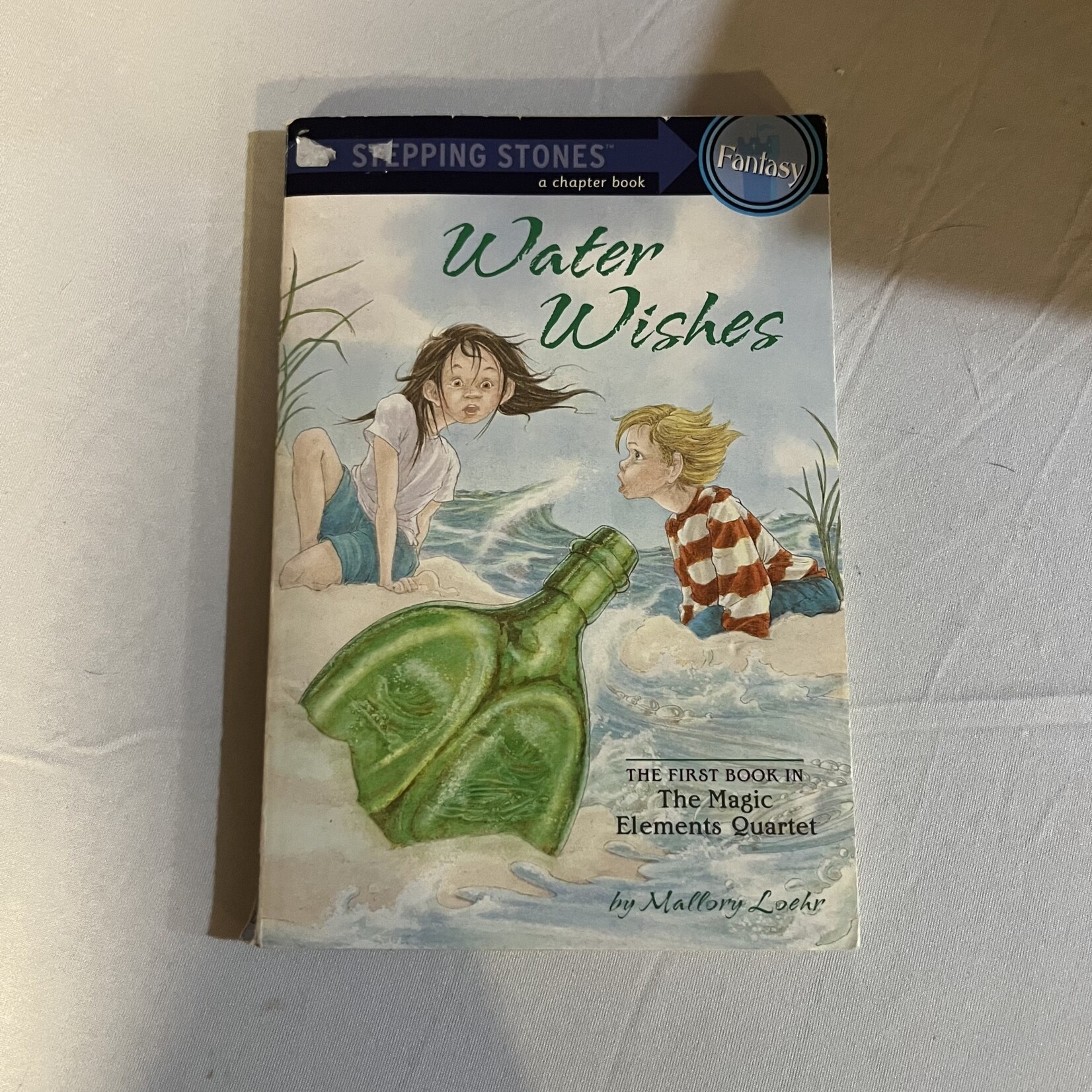 Stepping Stones Chapter Book - Water Wishes