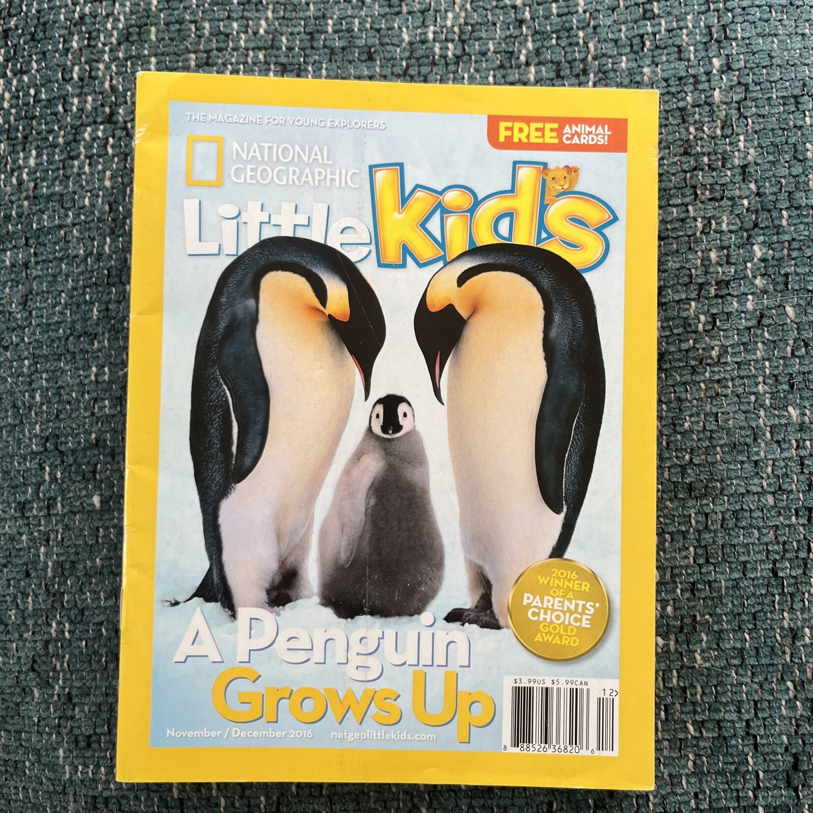 National Geographic Little Kids - A Penguin Grows Up