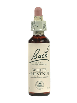 Bach Flower Bach White Chestnut 20ml