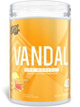 VNDL Vandal Squeezed Citrus 323g