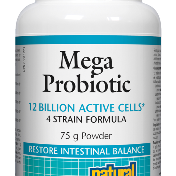 Natural Factors Natural Factors Mega Probiotic Powder 75g