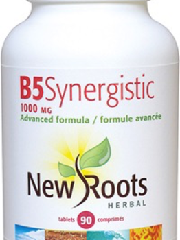 New Roots New Roots Vitamin B5 Synergistic 1000 mg 90 caps