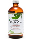 Botanica Botanica Daily Digestive Shot (Fermented Kombucha) 250ml