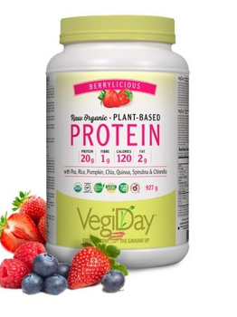 VegiDay VegiDay Raw Org. Plant Based Protein Berry 936g
