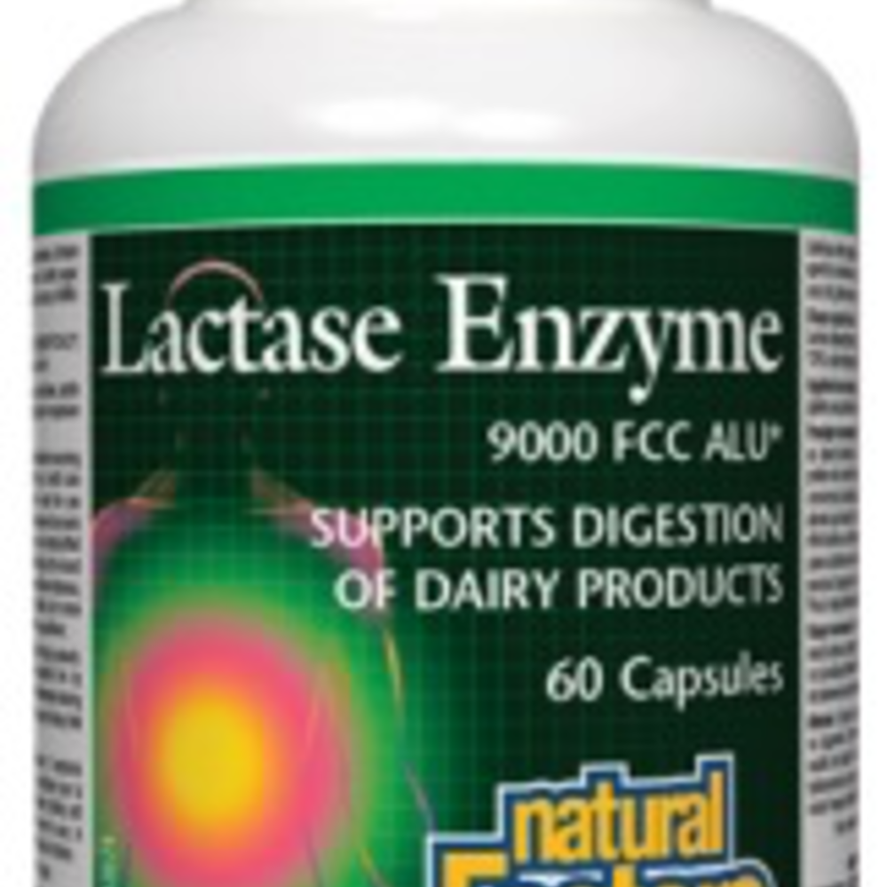 Natural Factors Lactase Enzyme 60 caps - Vitamin King - Sports ...