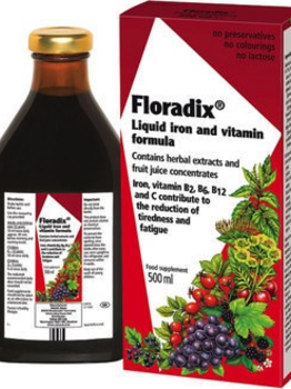 Salus Salus Floradix  500ml