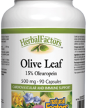 Natural Factors Natural Factors Herbal Factors Olive Leaf Extract 500 mg 90 caps
