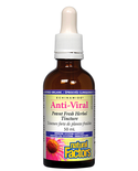 Natural Factors Natural Factors Echinamide Anti-Viral Potent Tincture 50ml