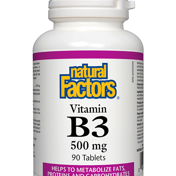 Natural Factors Natural Factors Niacin B3 500mg 90 tabs