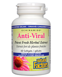 Natural Factors Natural Factors Echinamide Anti-Viral 60 softgels