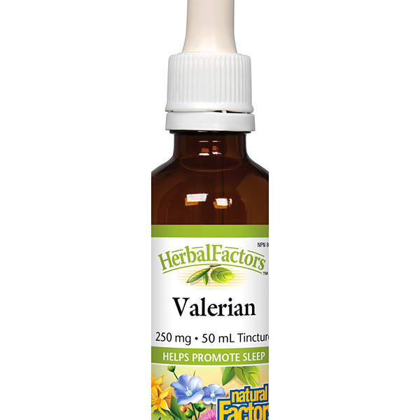 Natural Factors Natural Factors Herbal Factors Valerian Tincture 50mL